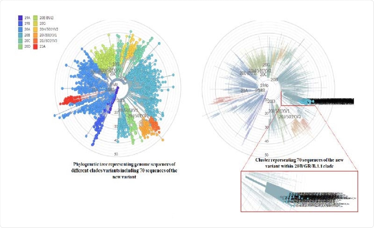 Molecular phylogenetic analysis of new variant strains by Nextcladebeta v.0.14.3. Left phylogenetic tree representing all the reference strains of different Nextstrain clades (Automatically selected by Nextclade) as well as 70 strains of the new variant. Each color depicting a different clade. Right phylogenetic tree highlighting only the 70 sequences of the new variant.