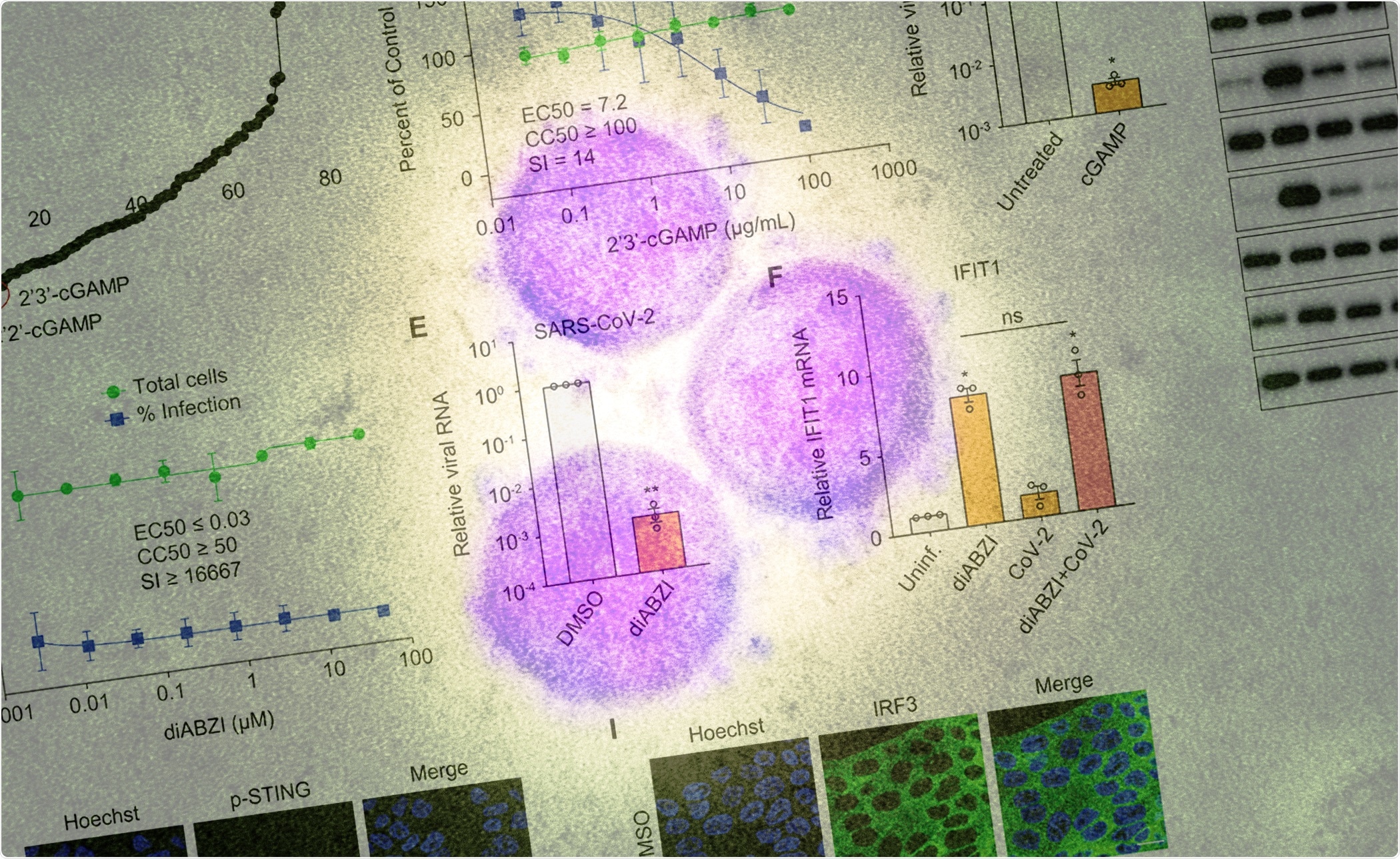 Study: Pharmacological activation of STING blocks SARS-CoV-2 infection. Image Credit: Science Immunology and NIAID