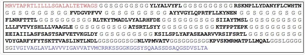 Assembled vaccine construct containing a secretion signal sequence (red), peptides (bold) joined by non-immunogenic glycine/serine linkers, and an MHC class I trafficking signal (blue).