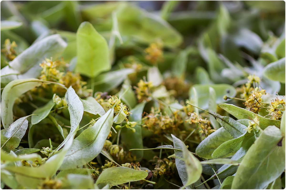 Review: Antiviral Activity Exerted by Natural Products against Human Viruses. Image Credit: Pictures_for_You / Shutterstock