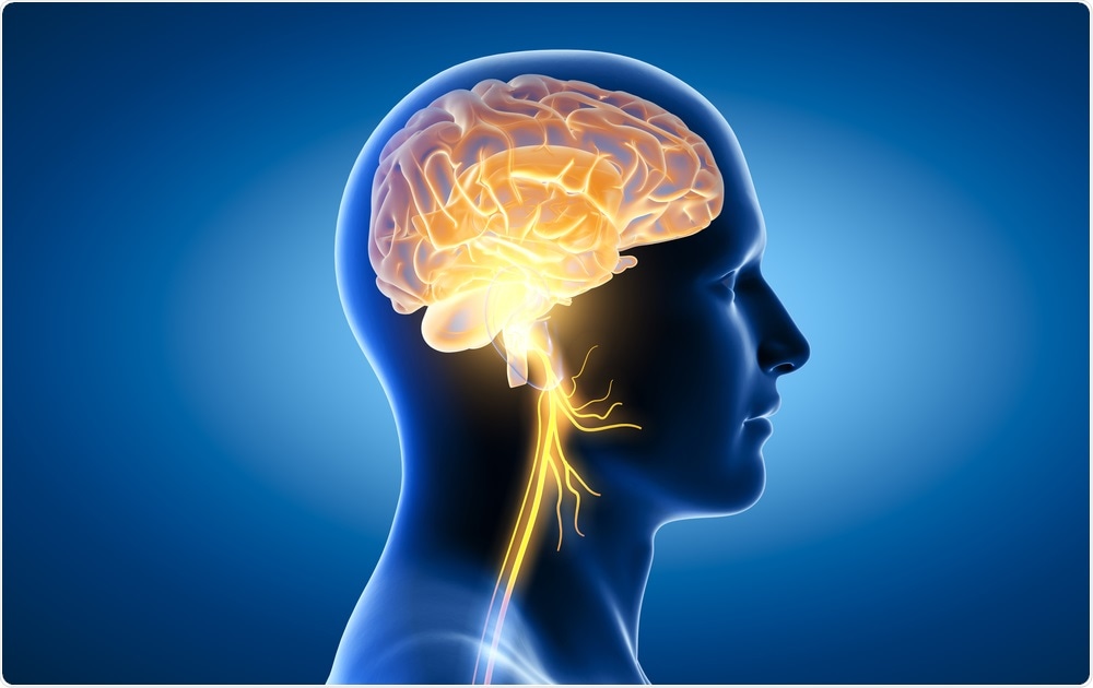 Study: Vagus Nerve Stimulation: A Potential Adjunct Therapy for COVID-19. Image Credit: Axel_Kock / Shutterstock