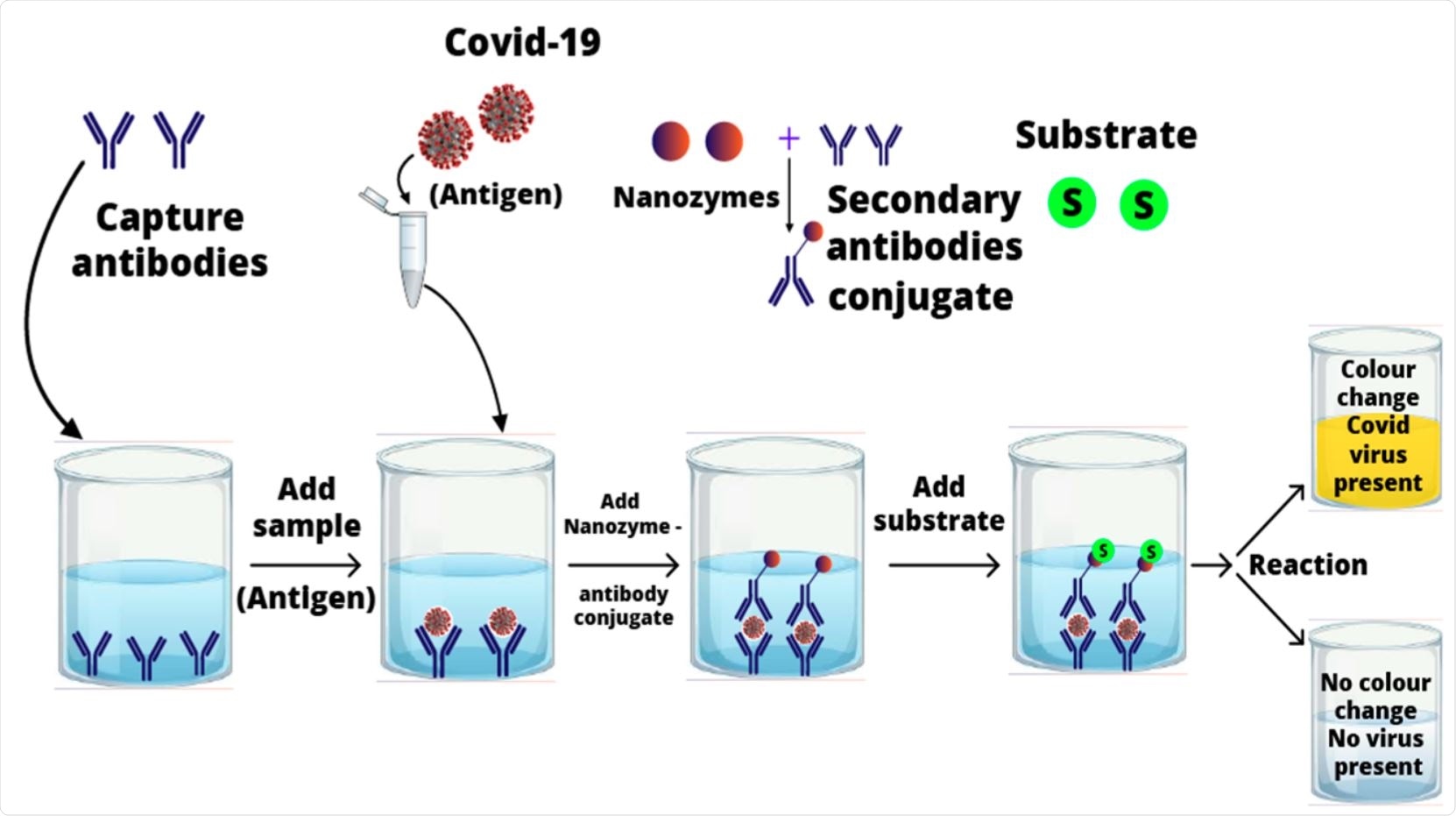 Possible mechanism of nanozyme-mediated sandwich enzyme-linked immunosorbent assay (ELISA) for SARS-CoV-2 detection.
