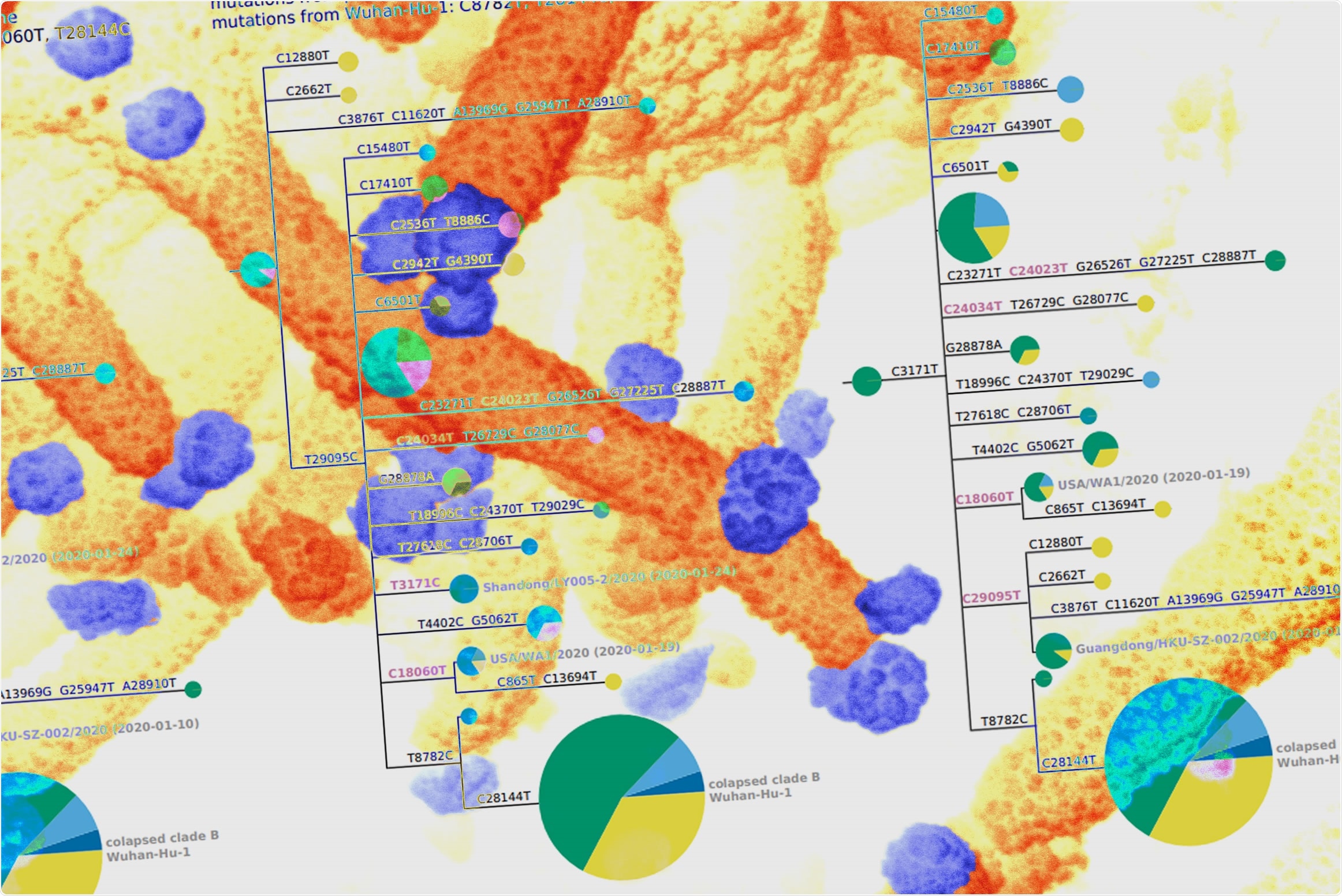 Study: Recovery of deleted deep sequencing data sheds more light on the early Wuhan SARS-CoV-2 epidemic. Image Credit: NIAID /  Bloom