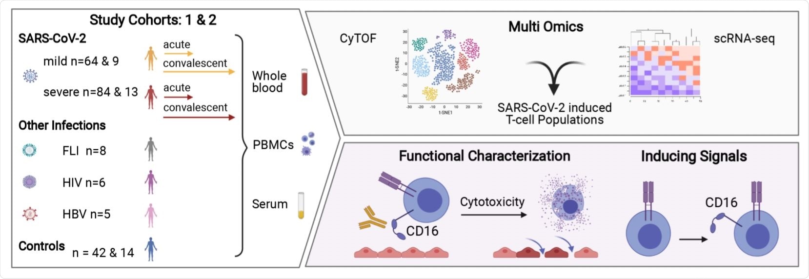Overview of the Study