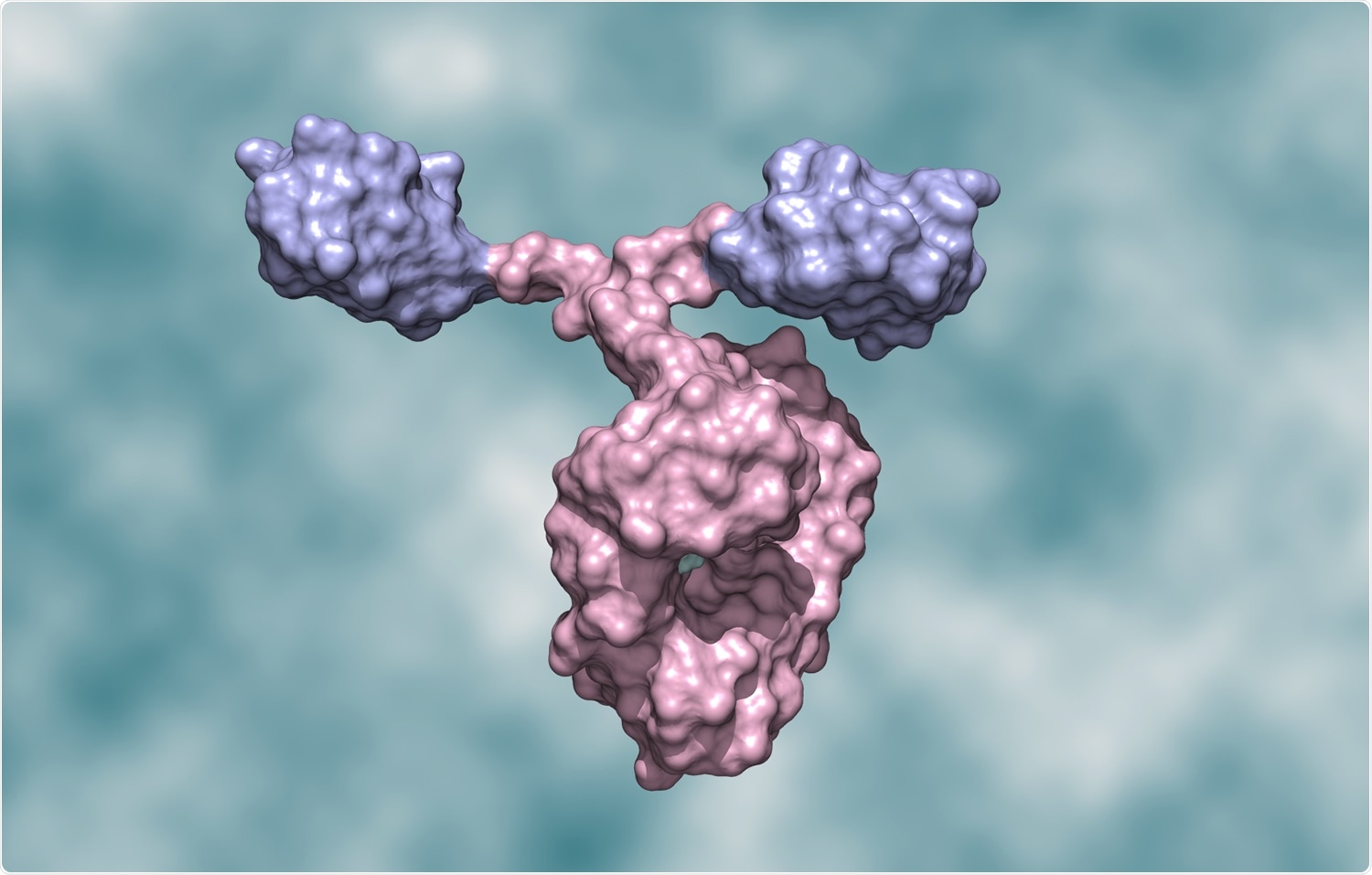 Study: Nanobodies from camelid mice and llamas neutralize SARS-CoV-2 variants. Image Credit: Huen Structure Bio / Shutterstock