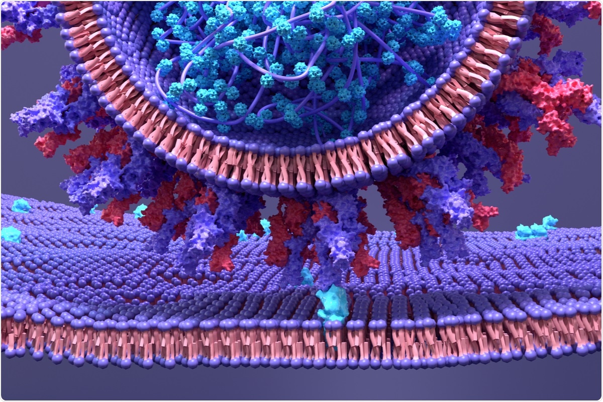Study: The rise and fall of an emerging SARS-CoV-2 variant with the spike protein mutation L452R. Image Credit: Design_Cells / Shutterstock