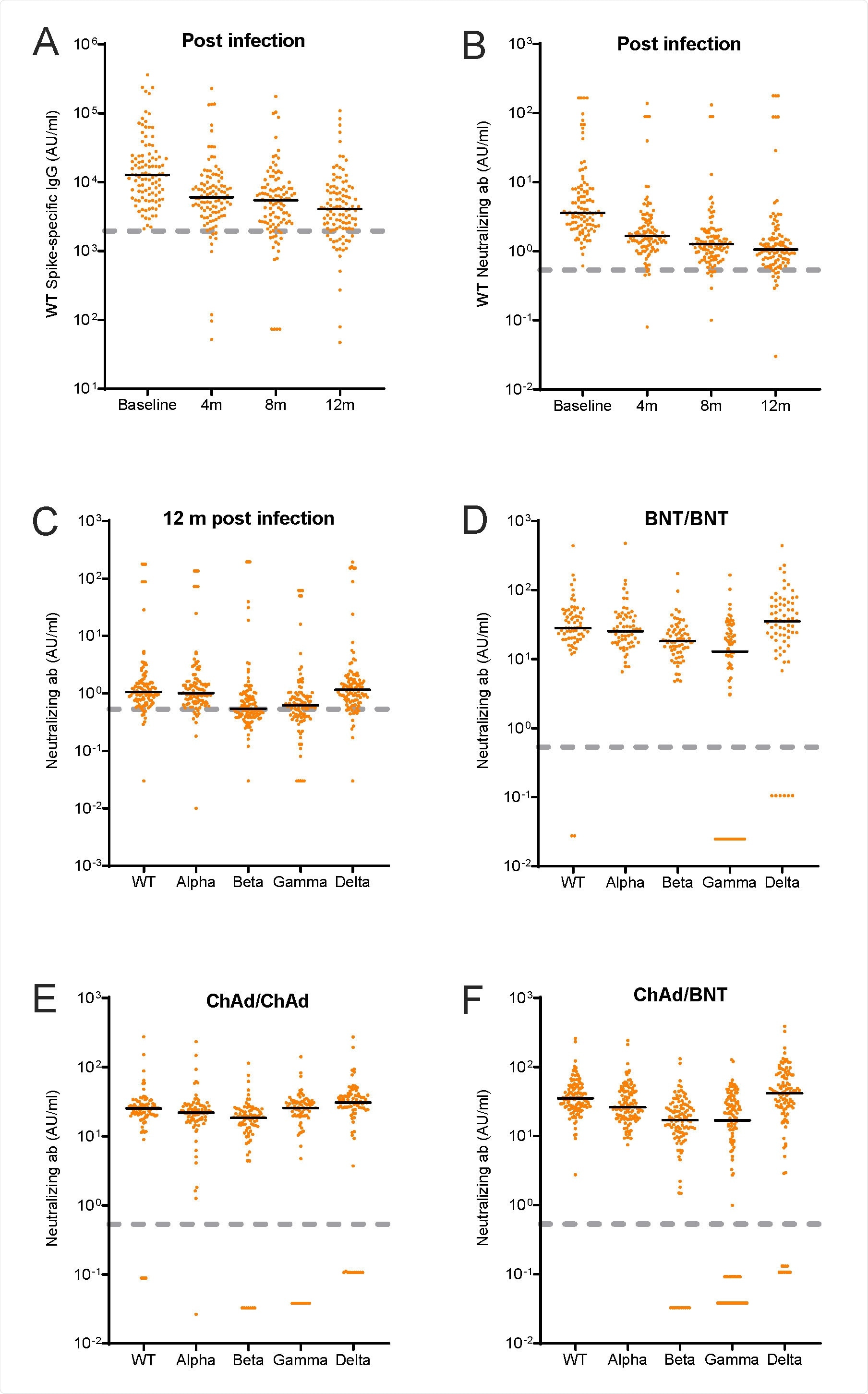 A-B. Wild type (WT) spike-specific IgG and neutralizing antibodies (AU/ml) after SARS-CoV-2 WT infection at baseline and at the 4-, 8-, and 12-months follow-up visit. C-F. Neutralizing antibodies (AU/ml) for wild type (WT) and B.1.1.7 (Alpha), B.1.351 (Beta), P.1 (Gamma) and B.1.617.2 (Delta) after C: 12 months infection, D: two doses BNT162b2 vaccine, E: two doses ChAdOx1 nCoV-19, F: heterologous vaccine regimen with ChAdOx1 nCoV-19 and BNT162b2. Black lines represent medians. Dashed grey lines represent cut-off values for wild type as determined by the manufacturer: IgG = 1960, neutralization = 0.533. WT; Wild type, BNT; BNT162b2 vaccine, ChAd; ChAdOx1 nCoV-19; m; months, ab; antibodies