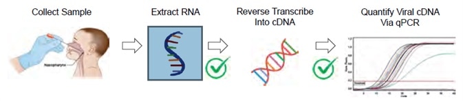 One SARS-CoV-2 workflow is a Real-Time RT-qPCR Assay. This figure is adapted from the CDC 2019-Novel Coronavirus (2019-nCoV) Real-Time RT-PCR Diagnostic Panel2. Note that the CDC guidelines do not mention nucleic acid quantification after RNA extraction or before qPCR amplification. The MIQE guidelines for minimum information for publication of quantitative real-time PCR experiments3 do define nucleic acid quantity and A260/A280 purity as useful information for qPCR publication.