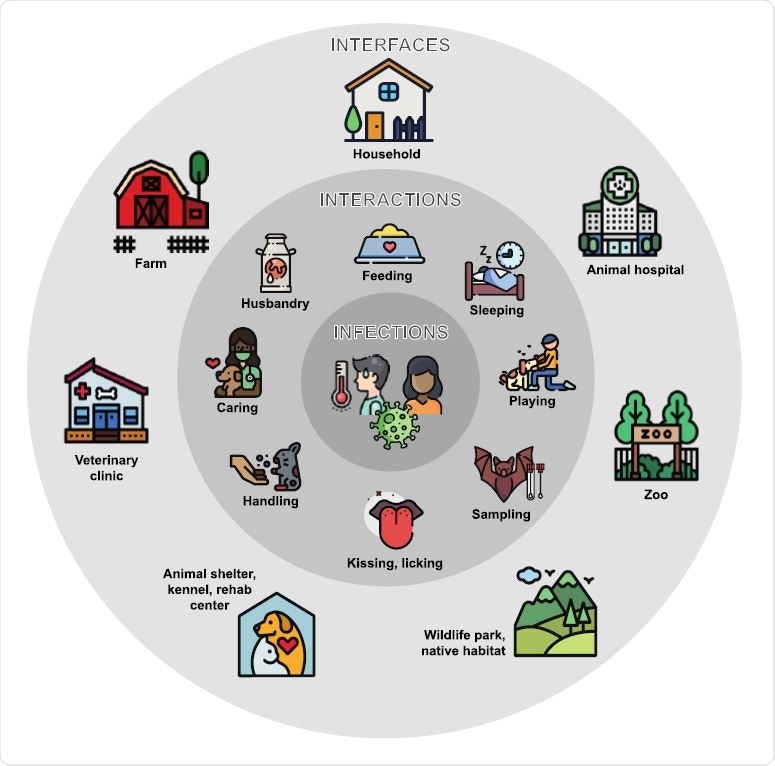 Common interfaces for human-animal interactions associated with reverse zoonotic transmission of respiratory pathogens