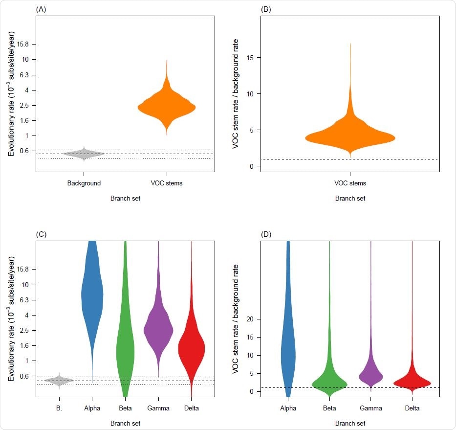 Violin plots for posterior statistics of fixed local clock models (FLC). (A) is for a FLC where the stem branches of VOCs share an evolutionary rate that is different to that of the background. The evolutionary rate for variants of concern (VOC) stem branches is shown in orange and the background in grey. The dashed line represents the mean background rate and the dotted lines are the 95% credible interval. (B) is the ratio of the evolutionary rate for VOC stem branches and the background under the same model and the dashed line represents a value of 1.0 where the background and VOC stem rate would be the same. (C) and (D) show the corresponding statistics for the FLC stems model, where the stem branch of every VOC has a dierent rate. Abbreviation