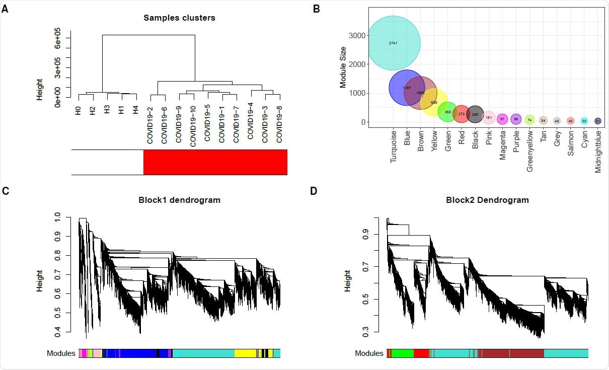 Construction of weighted co-expression network. (A) Sample dendrogram and trait heatmap. (B) Module size. (C and D) Cluster dendrogram block 1 and block 2. Each color represents one specific co-expression module, and branches above represent genes.