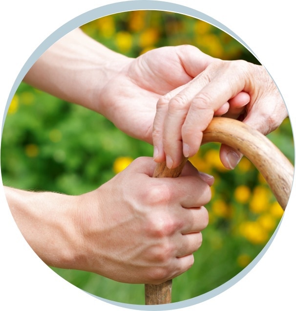 Study reveals a causal link between deficiency in Parkinson’s disease gene and reduced immunoaging.