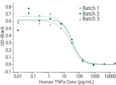 Batch-to-batch Consistency.
