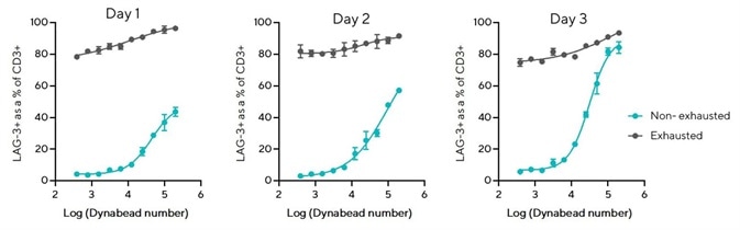 LAG-3 overexpression persists on exhausted T cells over 3 days.