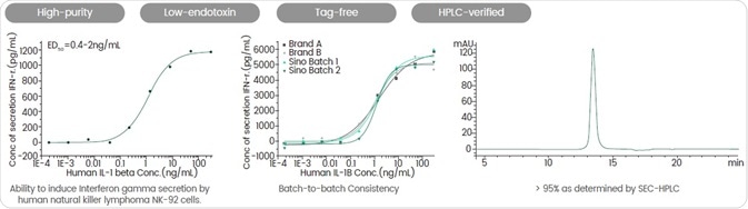 Understanding the Interleukin-1 family: Central mediators of innate immunity and inflammation