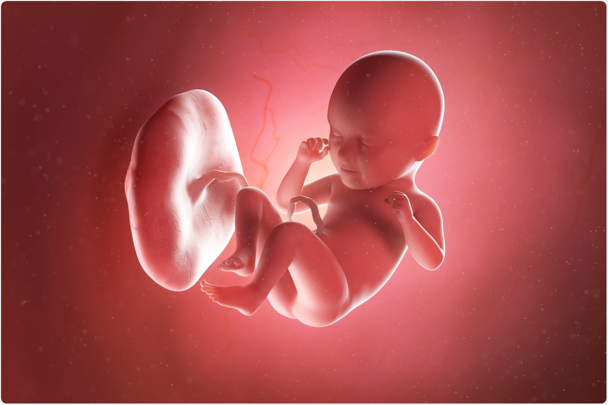 Study: Low-level SARS-CoV-2 viremia coincident with COVID placentitis and stillbirth. Image Credit: SciePro / Shutterstock.com