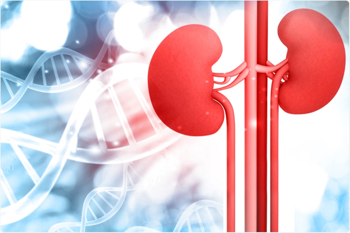 Study: Humoral Response to The Third Dose Of SARS-Cov-2 Vaccine in Kidney Transplant Recipients. Image Credit: bluebay / Shutterstock.com