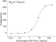 Ability to inhibit TGFβ1 activity on Mv-1-lu mink lung epithelial cells.