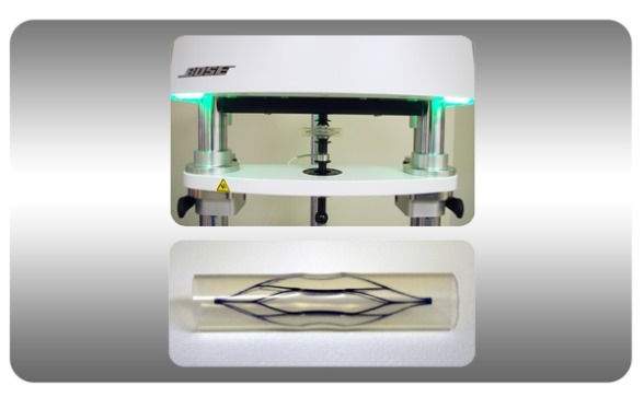 Characterization of Load and Deformation Properties for a Cardiovascular Medical Device