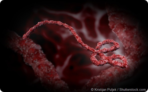 Ebola Virus