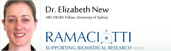 Elizabeth New ARTICLE IMAGE