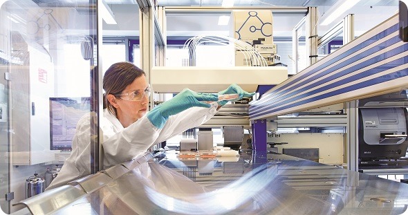 Preparation of microtiter plates for an antibody screening experiment