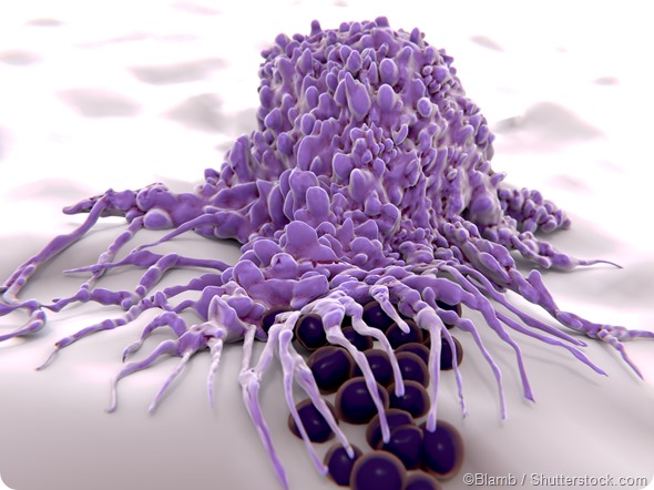 Macrophage engulfing bacteria