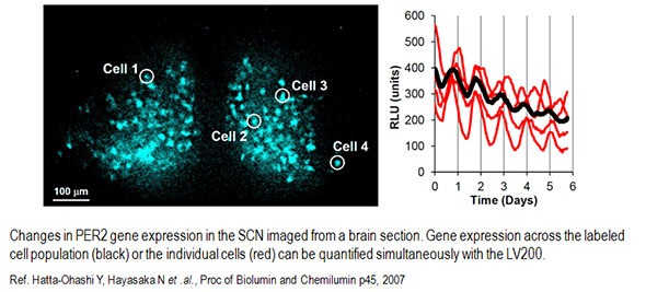 Measuring bioluminescence using a bioluminescent microscopy from Olympus