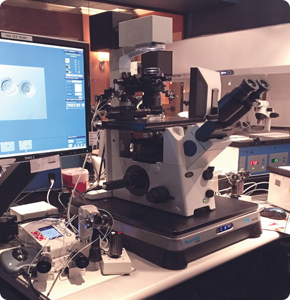 TMC Everstill™ K-400