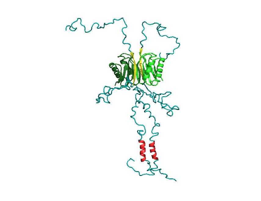 lc8-rotate-faster[5]