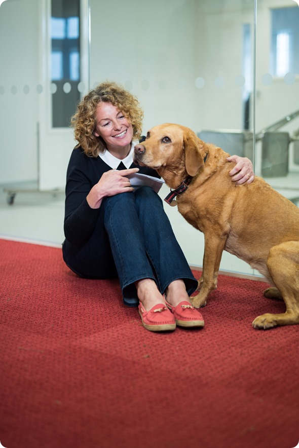 Kate Humble dogs