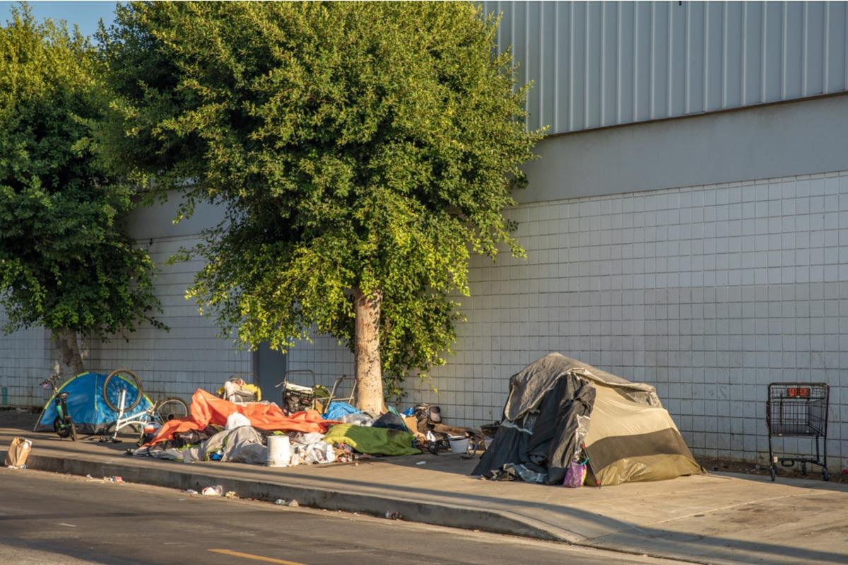 Image Credit: Eduard Goricev/Shutterstock.com