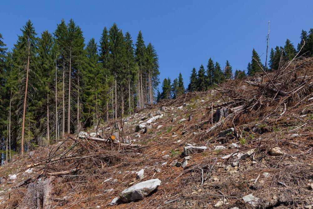 Environmental degradation