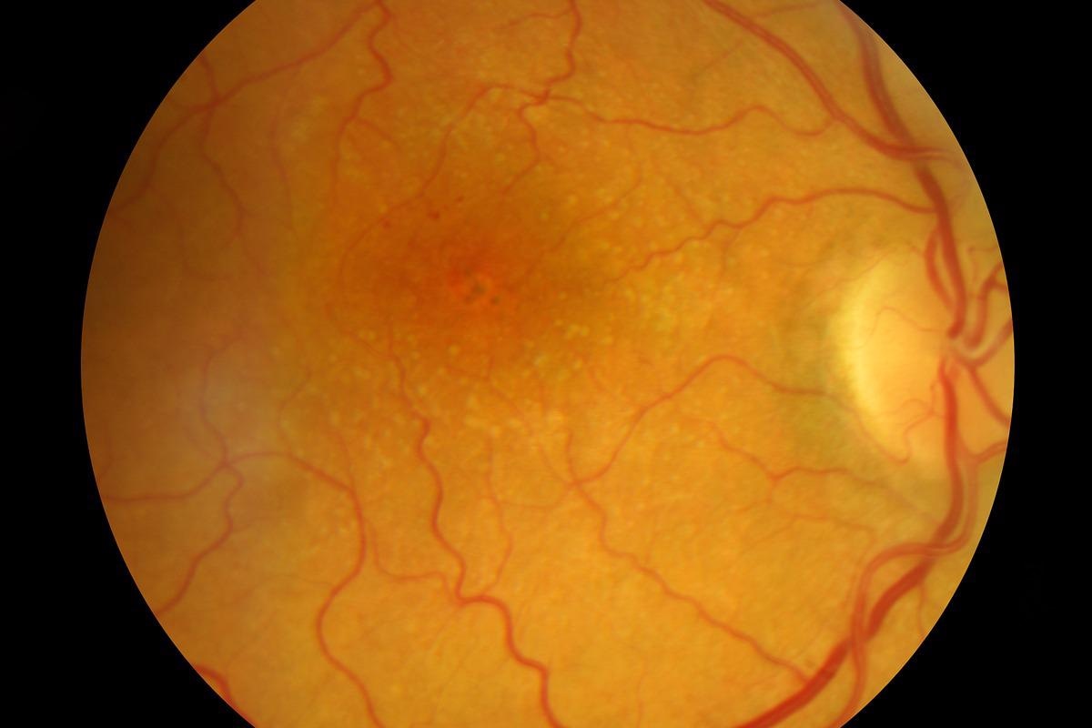 Image Credit: eye-for-photos/Shutterstock