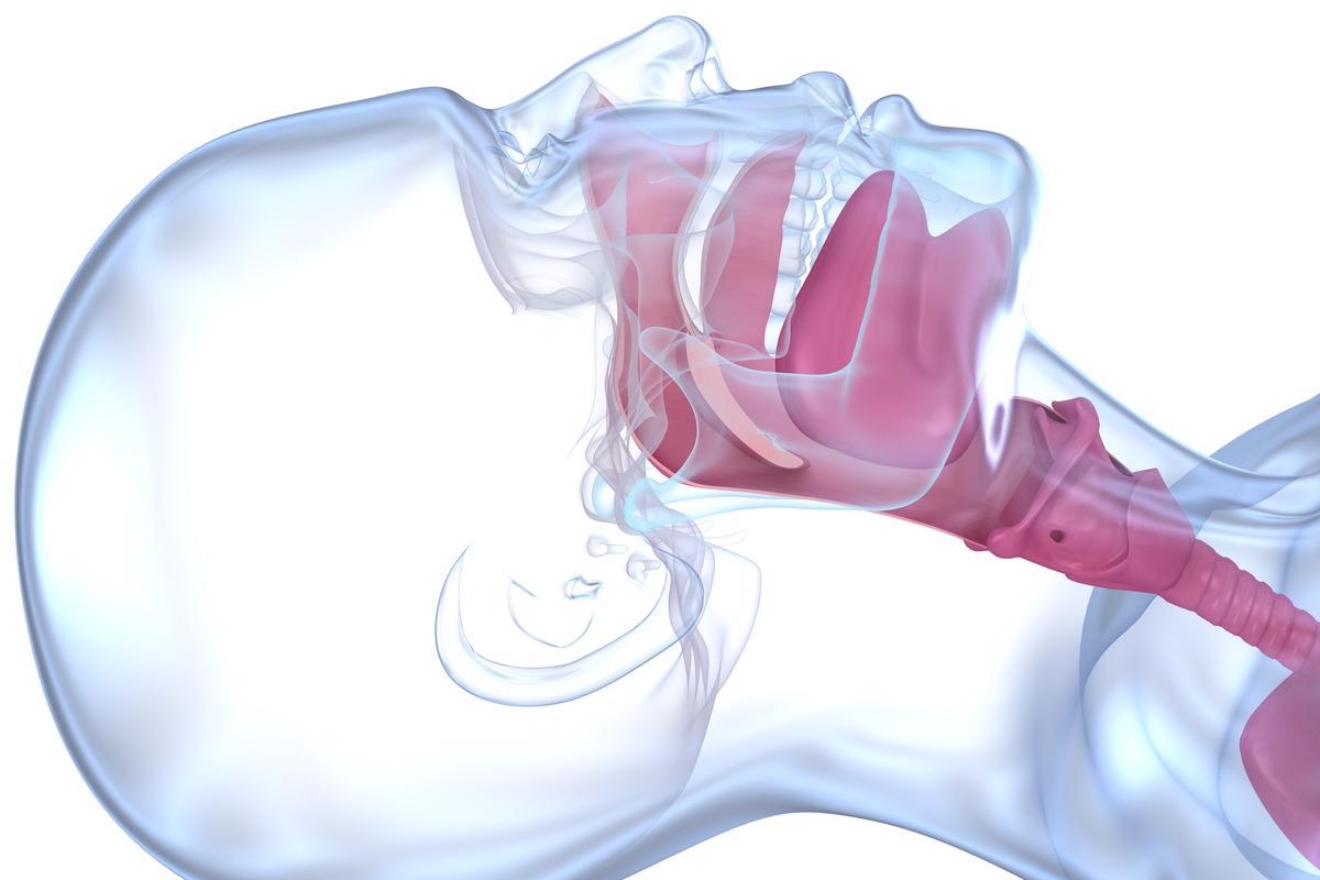 Image Credit: Alex Mit/Shutterstock