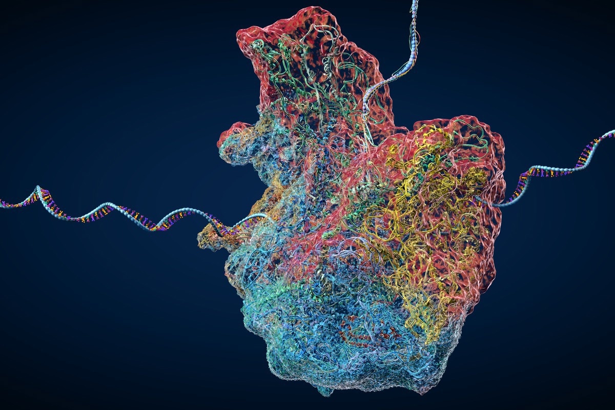 Image Credit: Christoph Burgstedt/Shutterstock.com