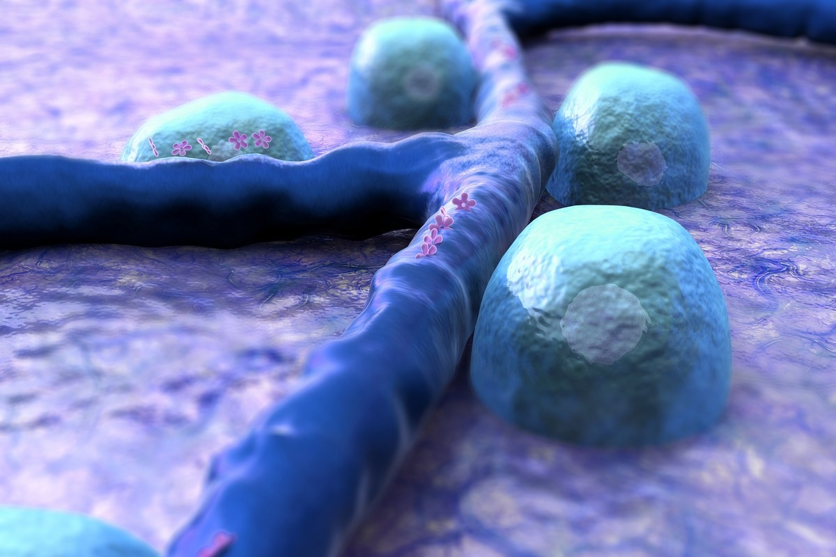 Image Credit: UGREEN 3S/Shutterstock.com