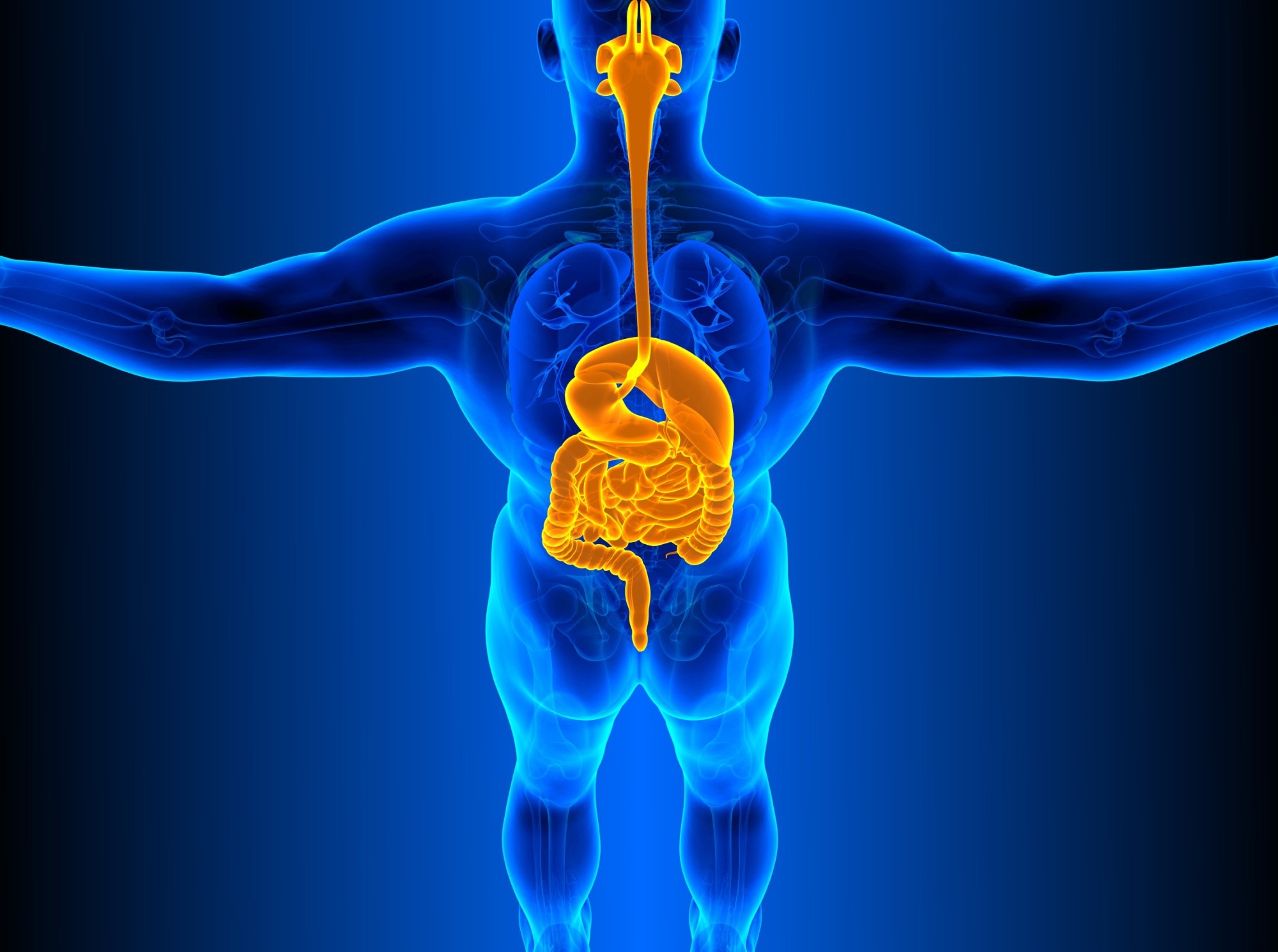 Image Credit: Magic3D/Shutterstock