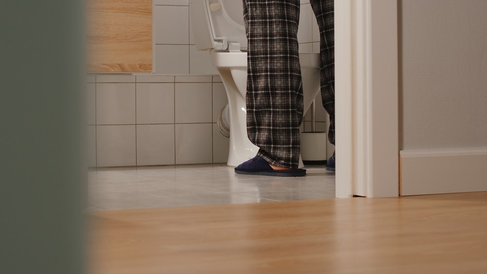 Adult man in a toilet at home. Image Credit: cliplab/Shutterstock.com