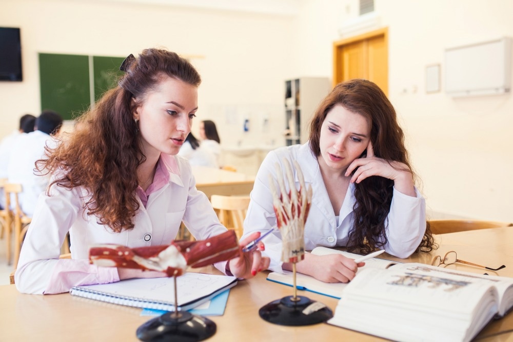 Image Credit: Anatomy Educatio/Shutterstock.com