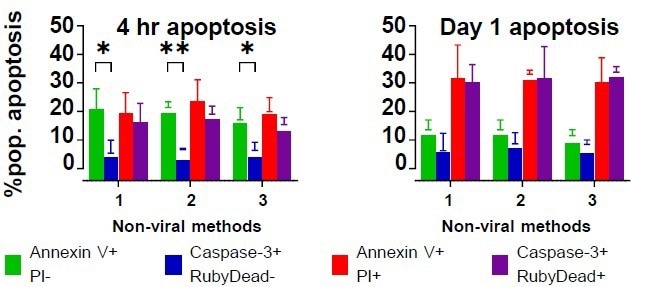 Developing image-based T-cell assays for monitoring apoptosis and CAR expression