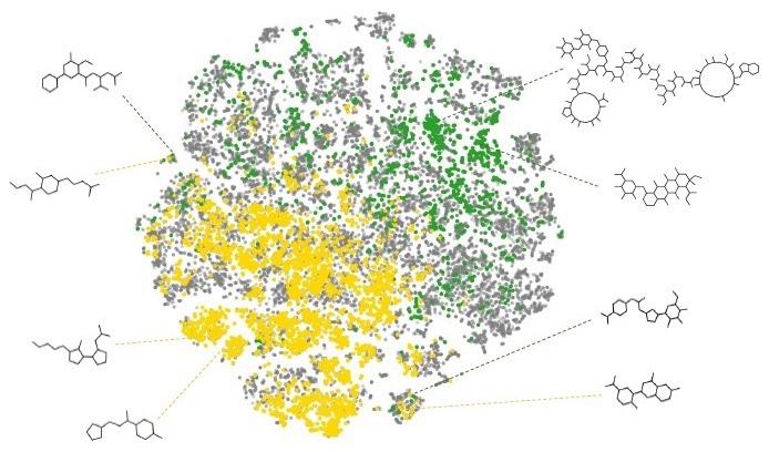 Expanding discovery with chemical diversity in natural product libraries