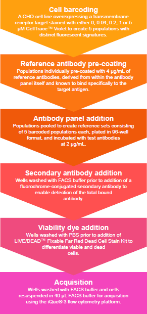 An overview of the protocol for generating competitive binding profiles by flow cytometry for epitope binning. Cellular barcoding increases the number of reference antibody sets that can be run simultaneously. Individual barcoded cell populations, precoated with saturating concentrations of reference antibody, are then multiplexed with other barcoded reference antibody cell populations. Sample preparation prior to acquisition, including all incubation steps and washes, takes approximately 4 hours 30 minutes.