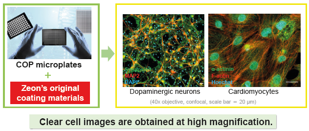 Innovative coating technology for precision COP microplates