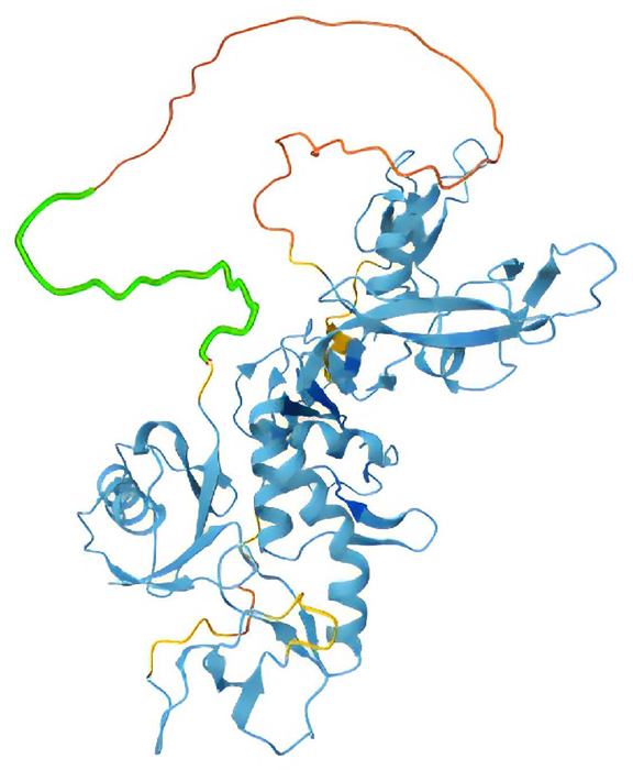 Structure of full-length Parkin, in green, construct Parkin Δ76-98 with midloop residues removed