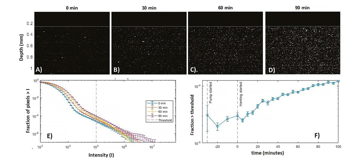 BSA heat induced aggregation measured during circulation from a flask at 18 ml/min using the NFS-Fides with a ½ inch flow cell. Pumping started at -30 minutes and heating at 0 minutes. A)-D) Scaled LPD snapshots with time lags after the start of heating shown on the top. E) Corresponding histograms of fraction of pixels above a given intensity as function of intensity, obtained from ~ one minute of imaging. F) LPD pixel fraction for a threshold 105 highlighting the growth of large aggregates.
