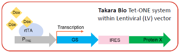 Customizable protein expression: Case study of 2 different membrane proteins