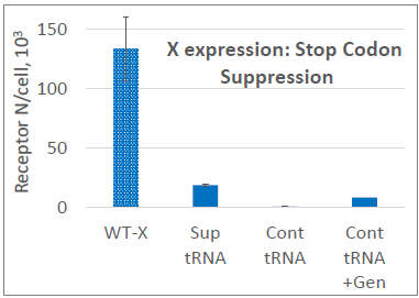 Customizable protein expression: Case study of 2 different membrane proteins