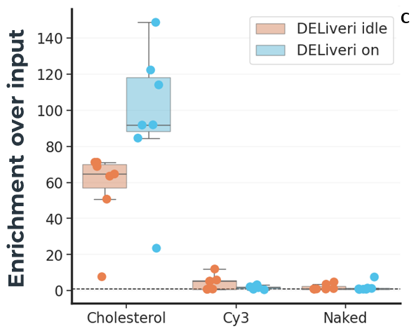 DELiveri®: A high-throughput, hypothesis-free screening platform for identifying novel delivery molecules for RNA therapeutics