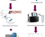 Image-enabled cell sorting for cellular drug response detection: A machine learning platform for indication discovery